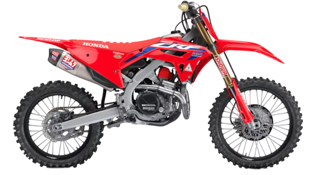 Model Image